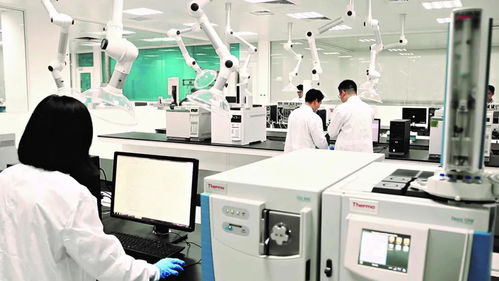 从农田到餐桌 康师傅以“食安是企业的生命线”筑牢品质防线